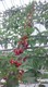 DSC_0013.JPG