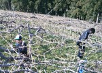IMG_20130429_071113.jpg