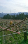 KIMG0021.JPG