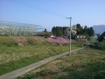 KIMG0029.JPG